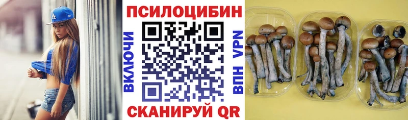 что такое   omg ссылки  Галлюциногенные грибы Psilocybe  Опочка 